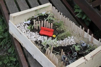 Un mini jardin d'intérieur avec vos résidents